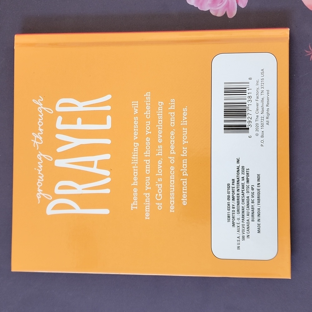 3 For $9 - 3 Book Set Growing with Prayer, Faith, & Lord You Have My Heart - Picture 5 of 15